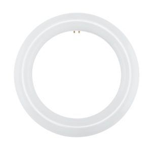 SATCO 8" & 12" T9 LED Ballast Bypass Circline Lamp Replaces FC8T9 G10Q 11W 6500K 1210Lm